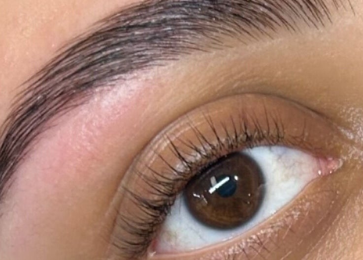 Beautifully shaped eyebrow at Blush & Brow Beauty, Pointe-claire, Québec, CA, showcasing expert grooming.