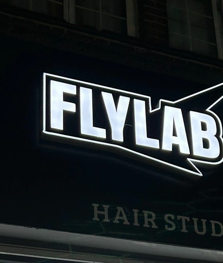 Flylab imagem 2