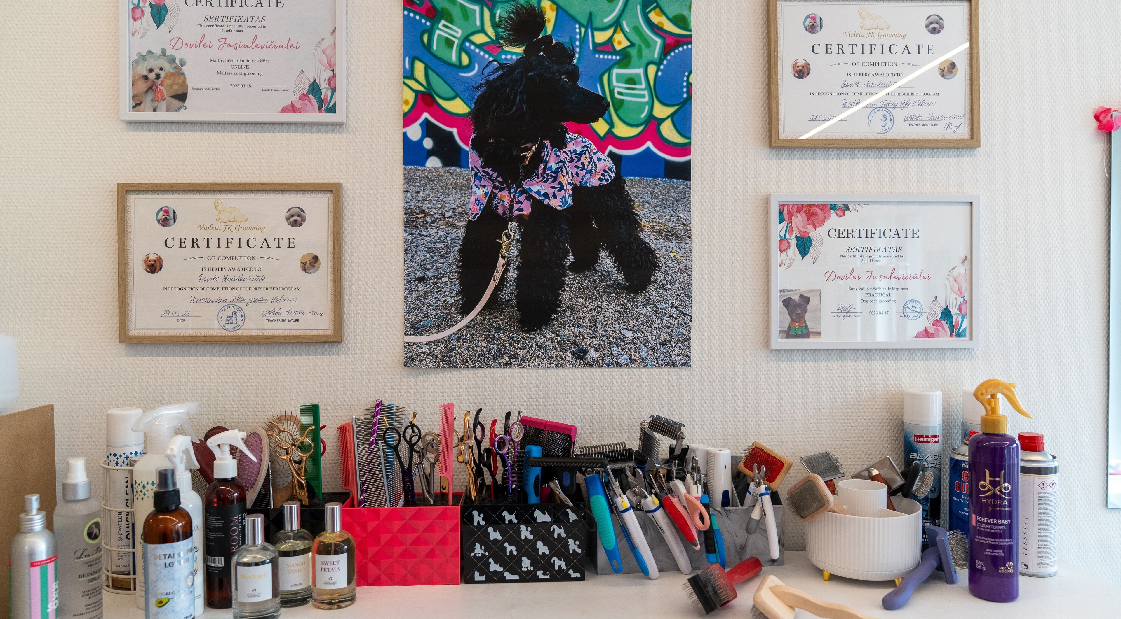 Grooming certificates and tools at Coconut Pets in Steinsel, Luxembourg, LU.