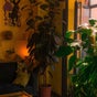 Studio Planta - Lisbon, Rua da Beneficência, 152B, r/c, Lisboa, Lisboa