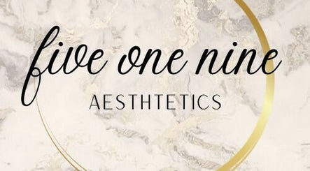 Five One Nine Aesthetics