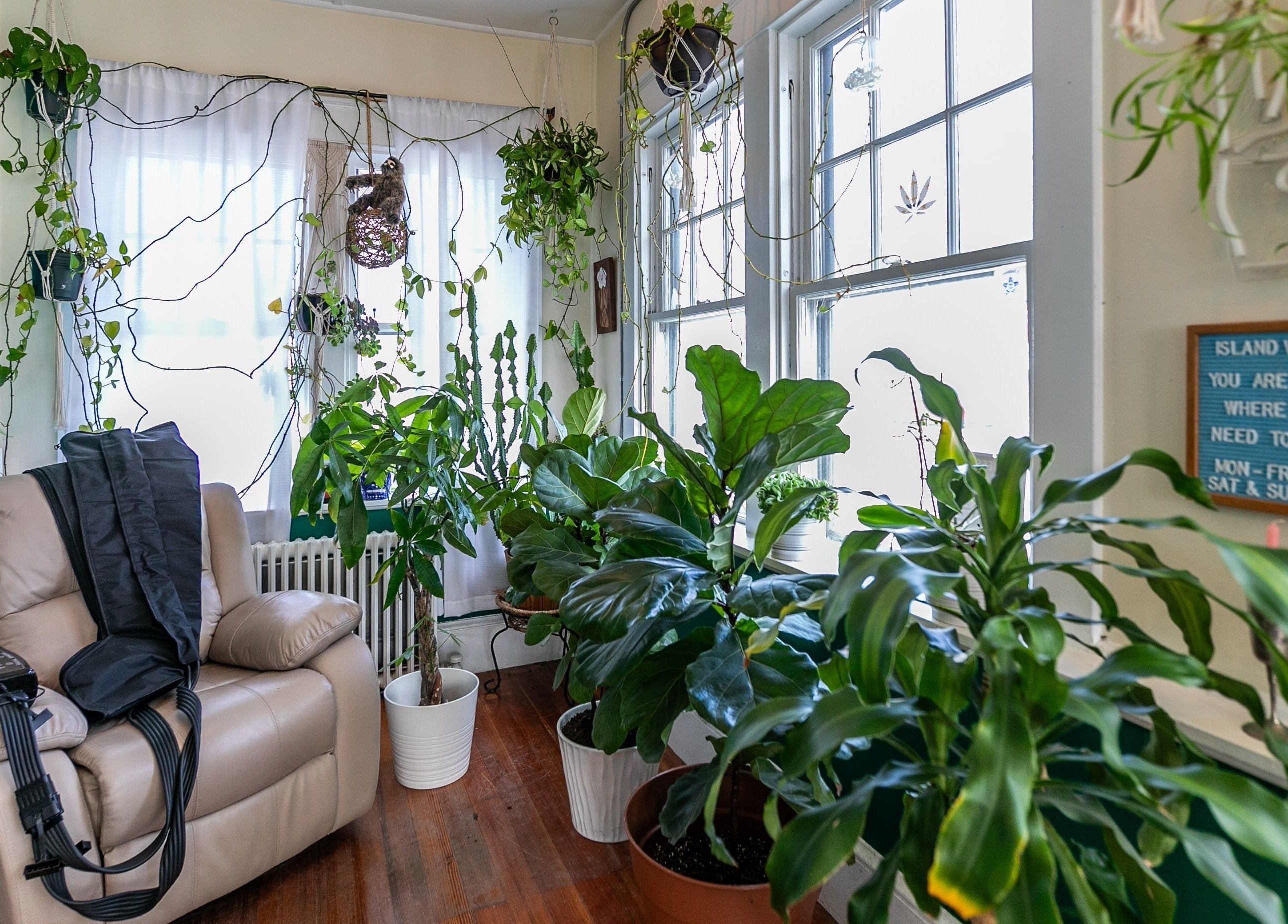 Cozy wellness corner at Middletown, Rhode Island, US with lush plants and a massage chair for relaxation.