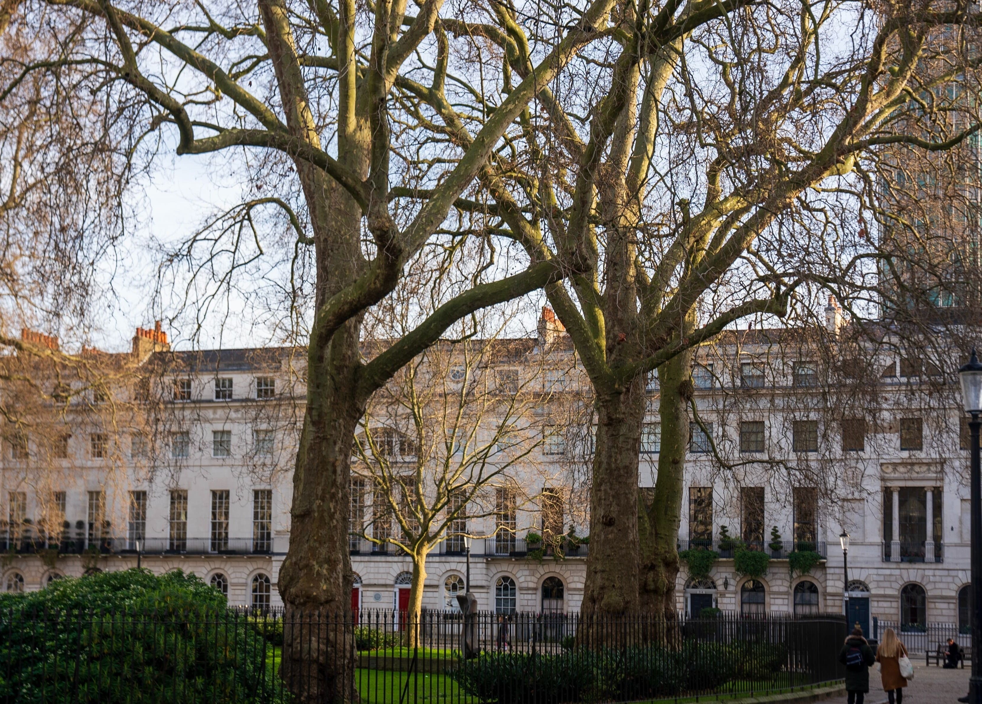 Facade view of Reshape Clinic [Marylebone] in London, England, GB framed by winter trees.