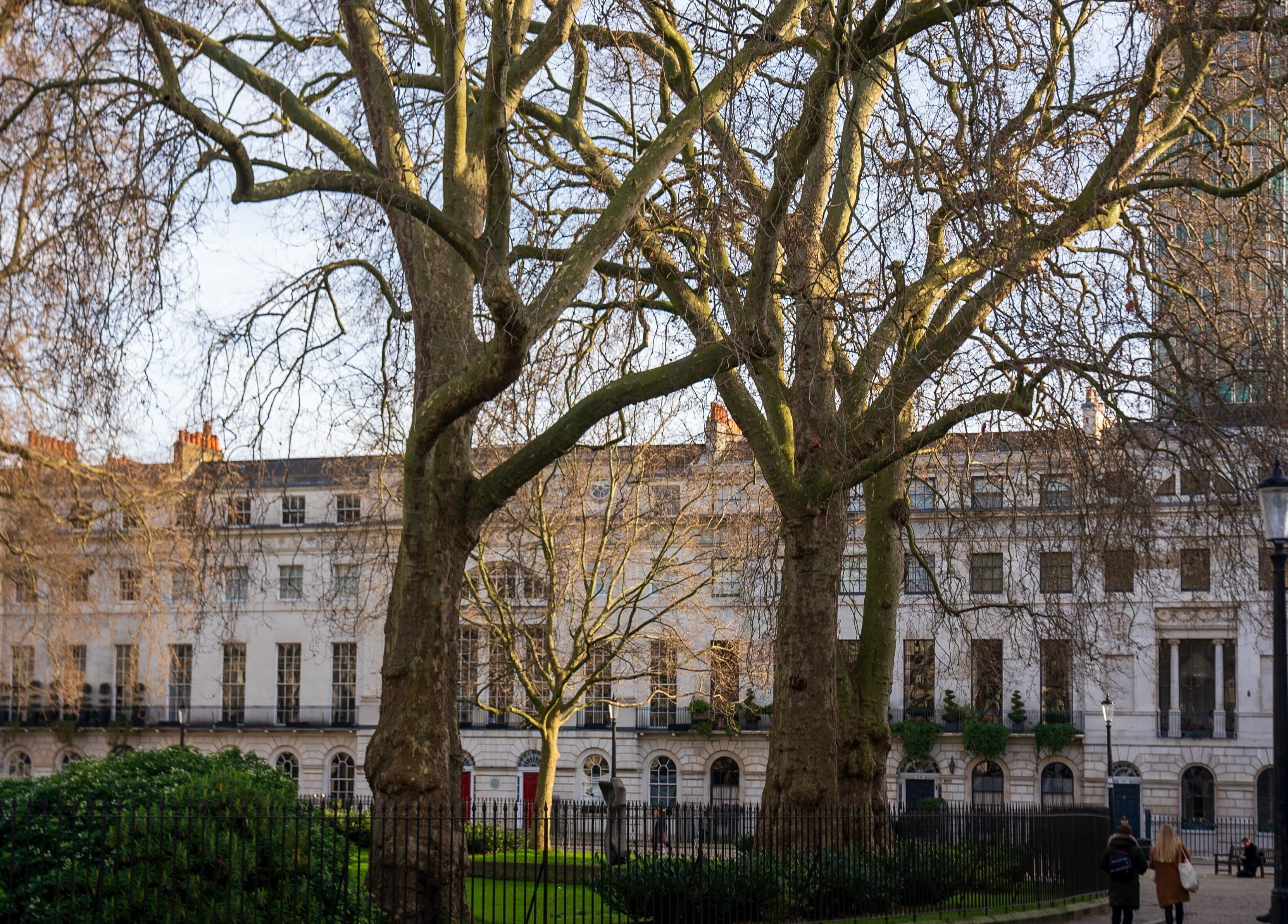 Facade view of Reshape Clinic [Marylebone] in London, England, GB framed by winter trees.
