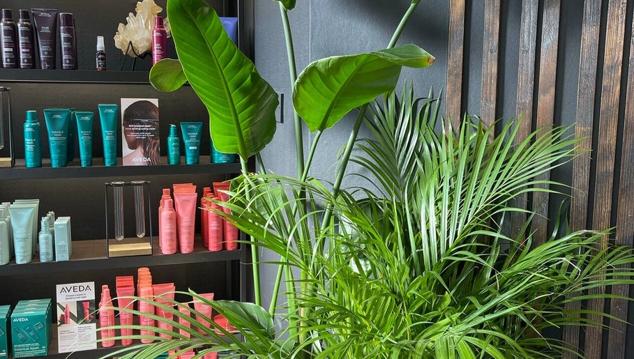 Luxury wellness products and greenery at Jordan Alexander @ Bathgate, Bathgate, Scotland, GB.