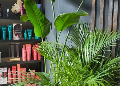 Luxury wellness products and greenery at Jordan Alexander @ Bathgate, Bathgate, Scotland, GB.