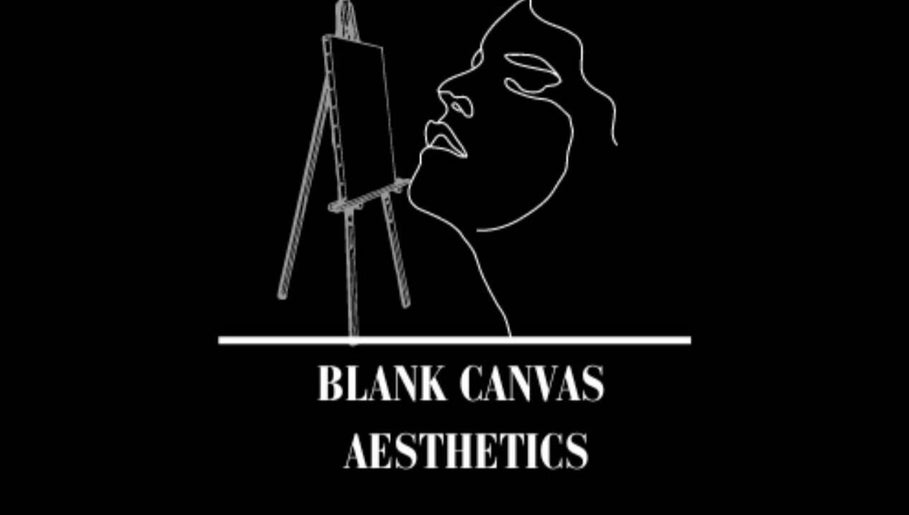 Blank Canvas Aesthetics slika 1