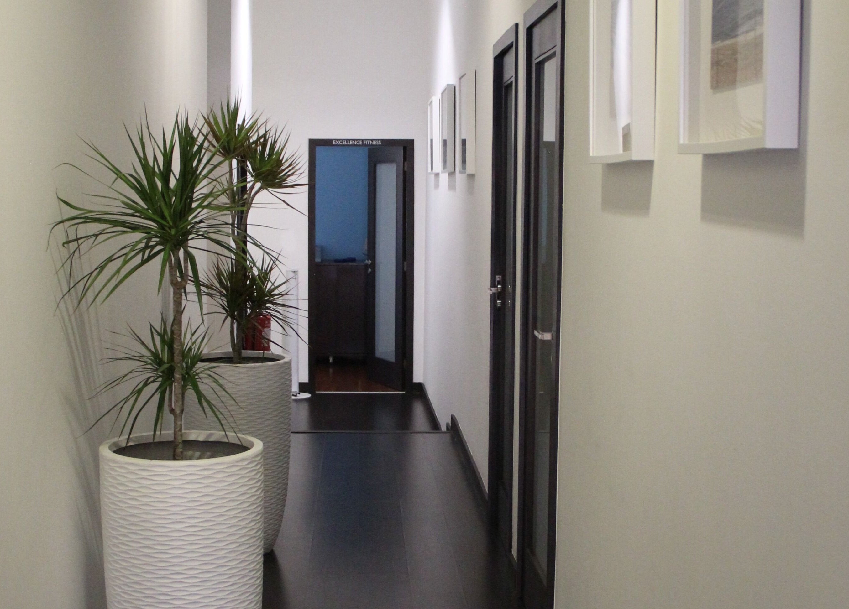 Corredor com plantas e quadros no Excellence Corpus, Povoa de Varzim, Portugal, PT.