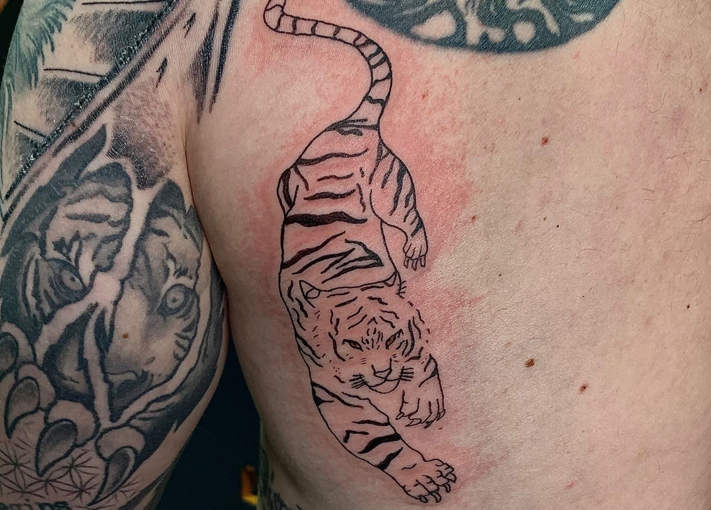 Intricate tiger tattoos displayed at Ebb and Flow Studio IL, Peru, Illinois, US on a client's arm.