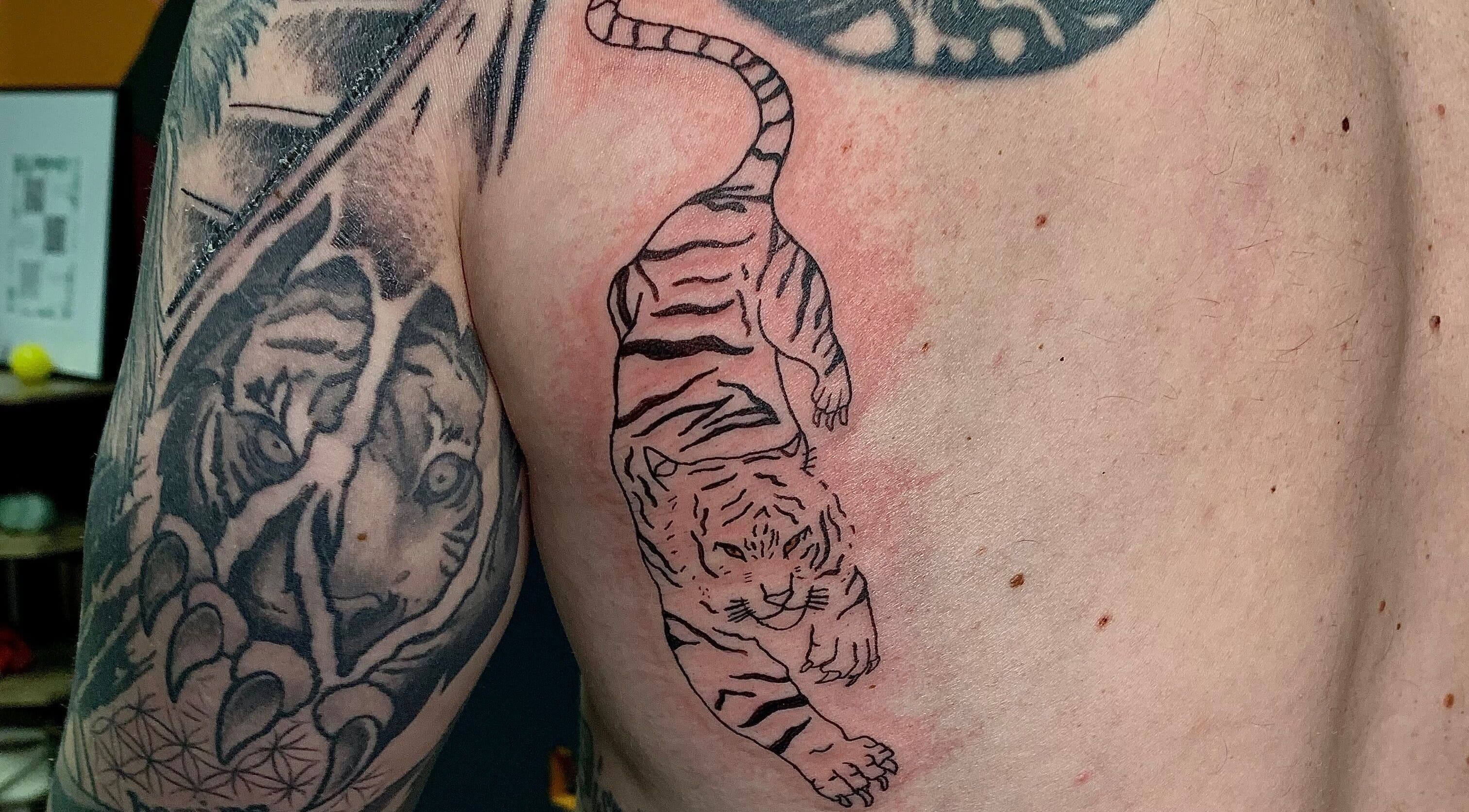 Intricate tiger tattoos displayed at Ebb and Flow Studio IL, Peru, Illinois, US on a client's arm.
