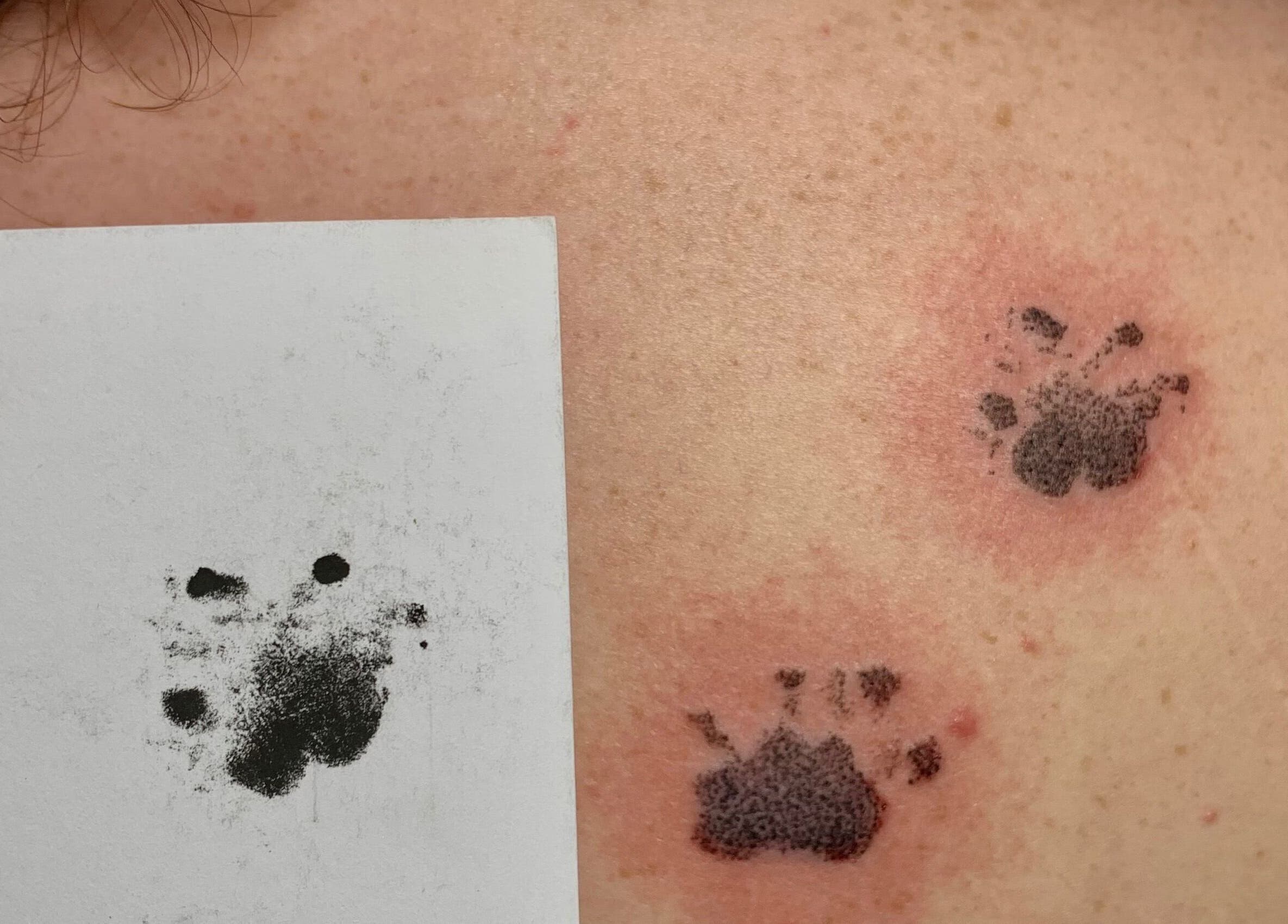 Pet paw print artwork on skin at Ebb and Flow Studio IL, Peru, Illinois, US.
