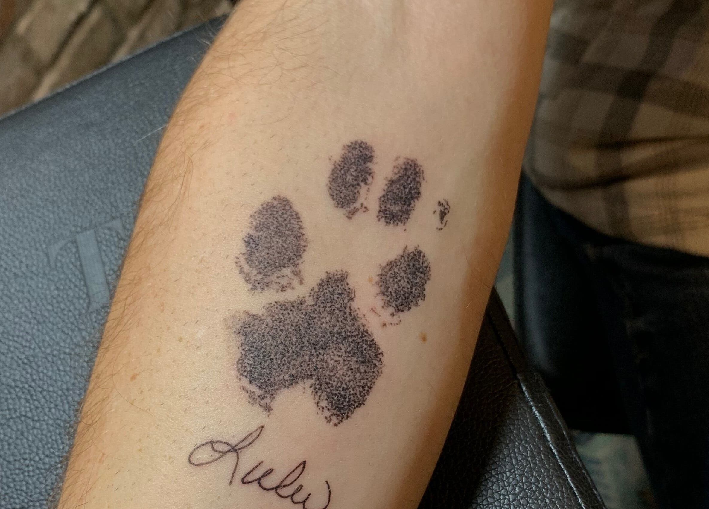Pawprint tattoo design at Ebb and Flow Studio IL on forearm in Peru, Illinois, US.