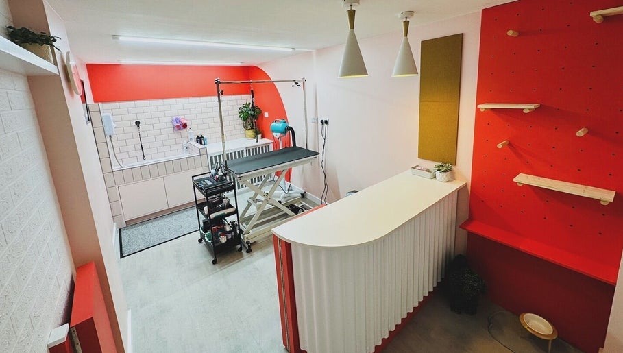 Aunty LouLou's Pet Lifestyle Services image 1
