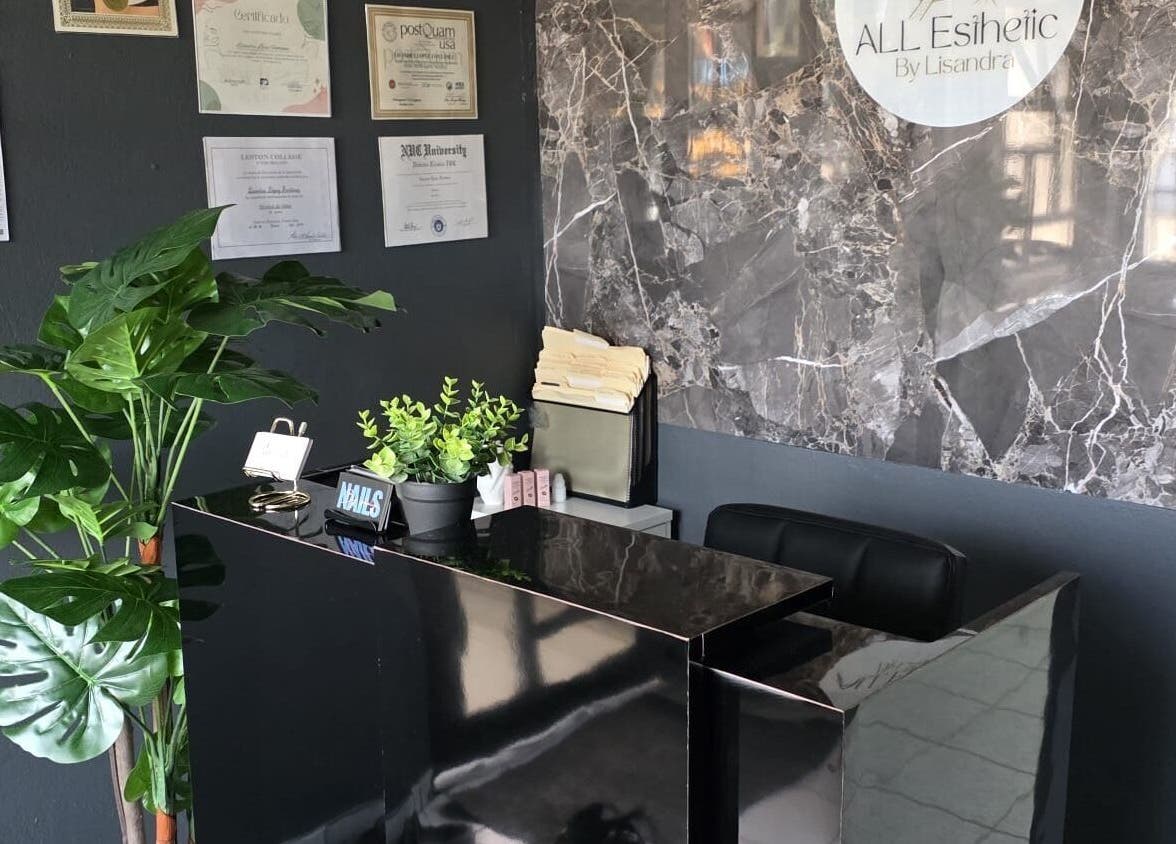 Recepción moderna en Allesthetic by Lisandra, San Juan, San Juan, PR con decoración sofisticada.