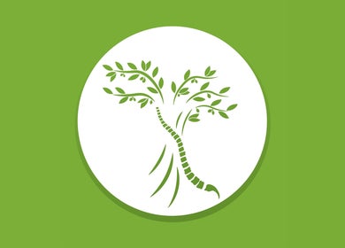 Logo of Healion Physiotherapy in Nicosia, featuring a spine-shaped tree symbolizing health.