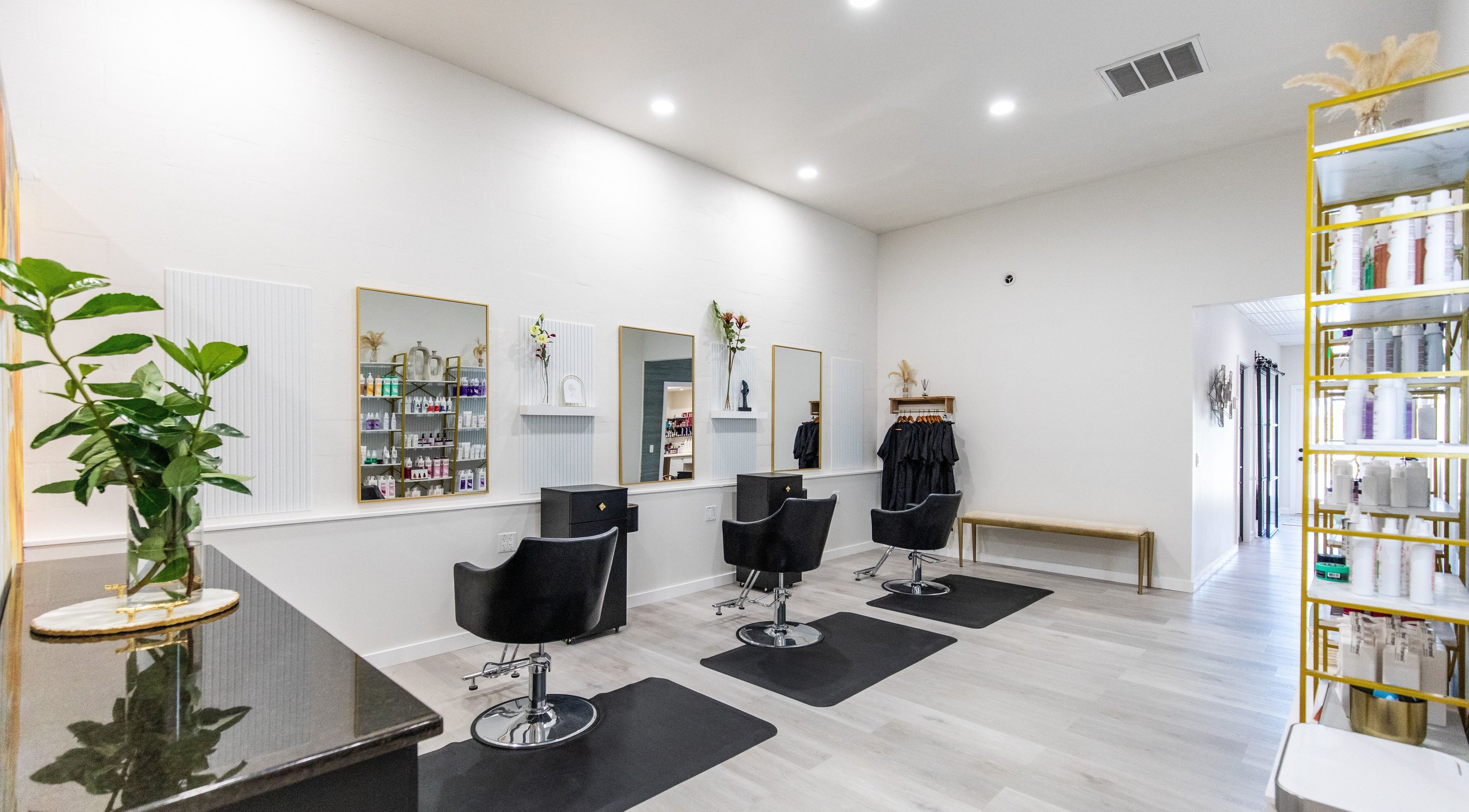 Interior of Elysian Salon and Spa in Vero Beach, Florida, showcasing elegant styling stations and modern decor.