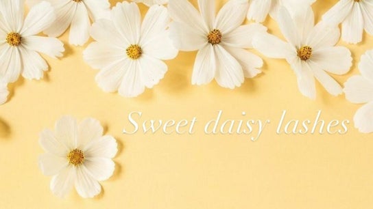 Sweet Daisy Lashes