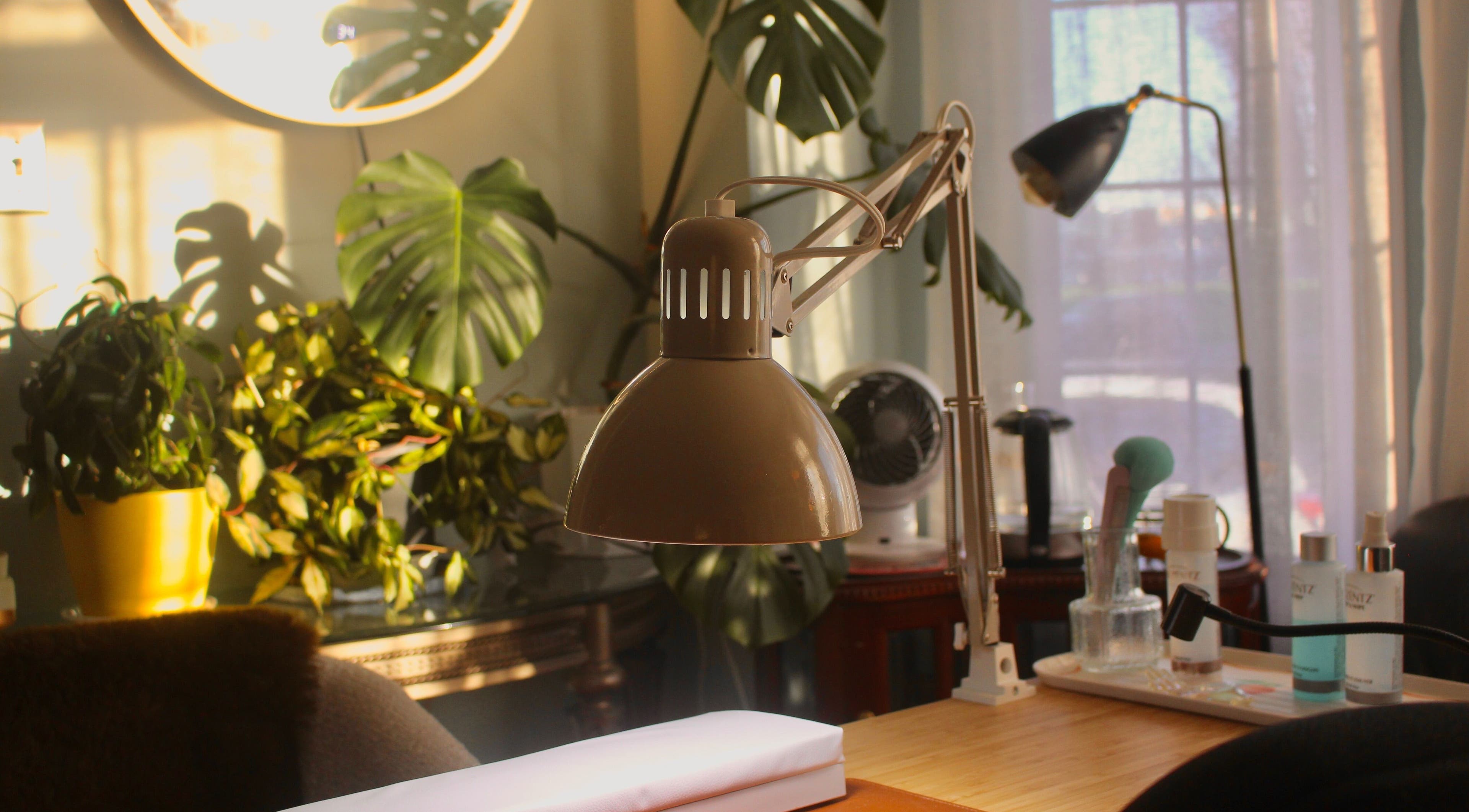 Tranquil workspace with plants and lamp at Reach Medspa & Manicures, Mississauga, Ontario, CA.