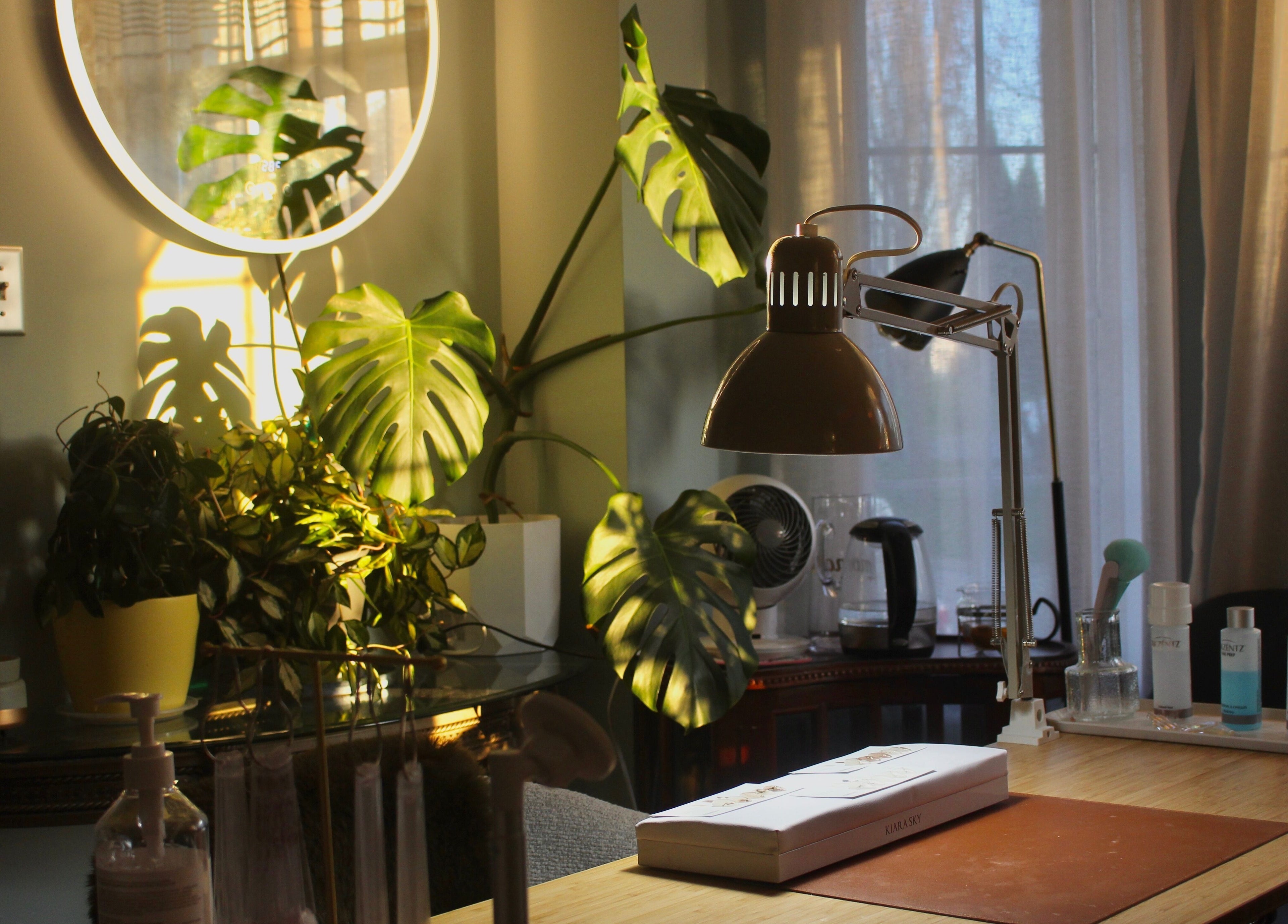 A sunlit workspace at Reach Medspa & Manicures, Mississauga, Ontario, CA. Desk with lamp and plants for a relaxing vibe.