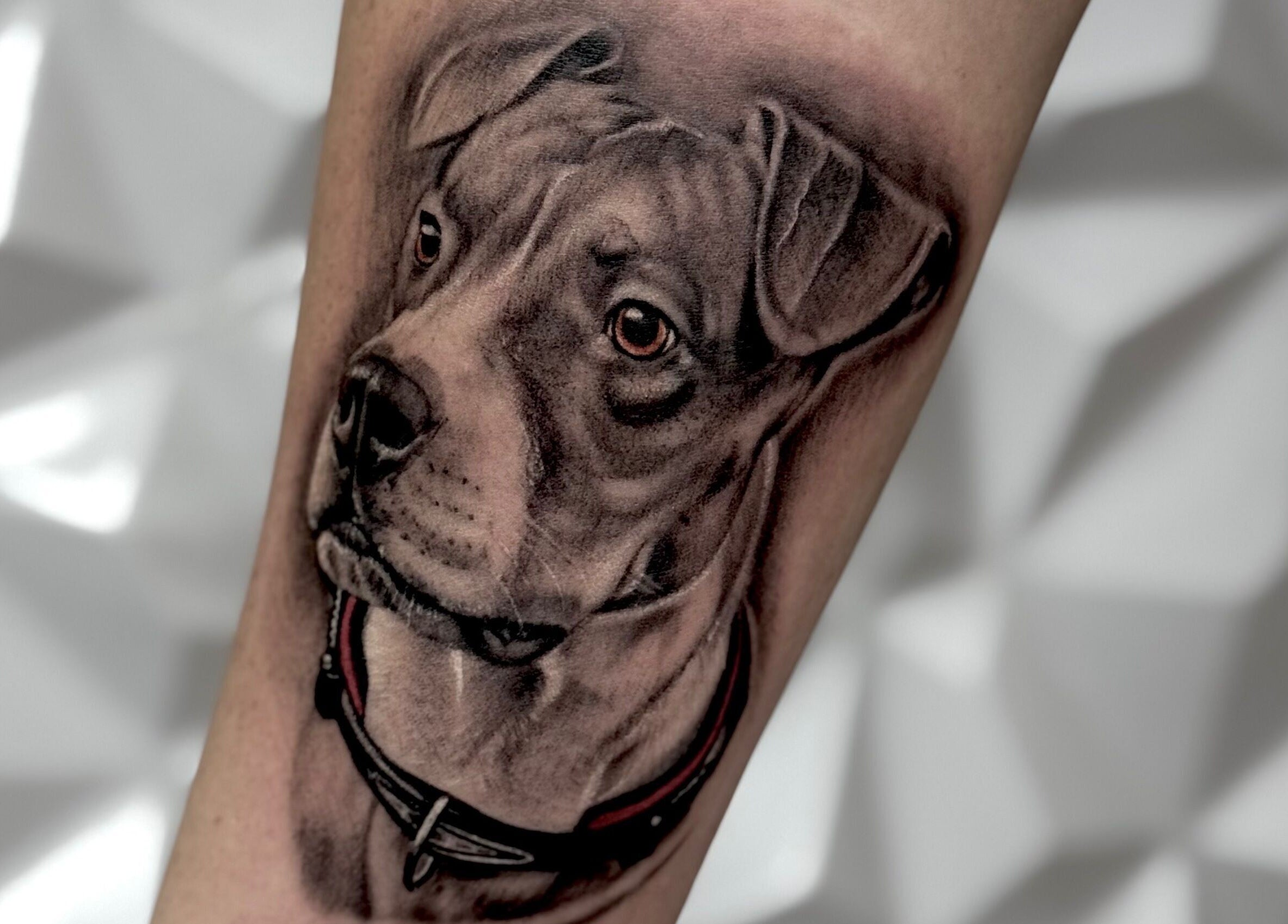 Tatuagem de um cachorro realista no braço em Renan Campion Tattoo, São Paulo, São Paulo, BR.
