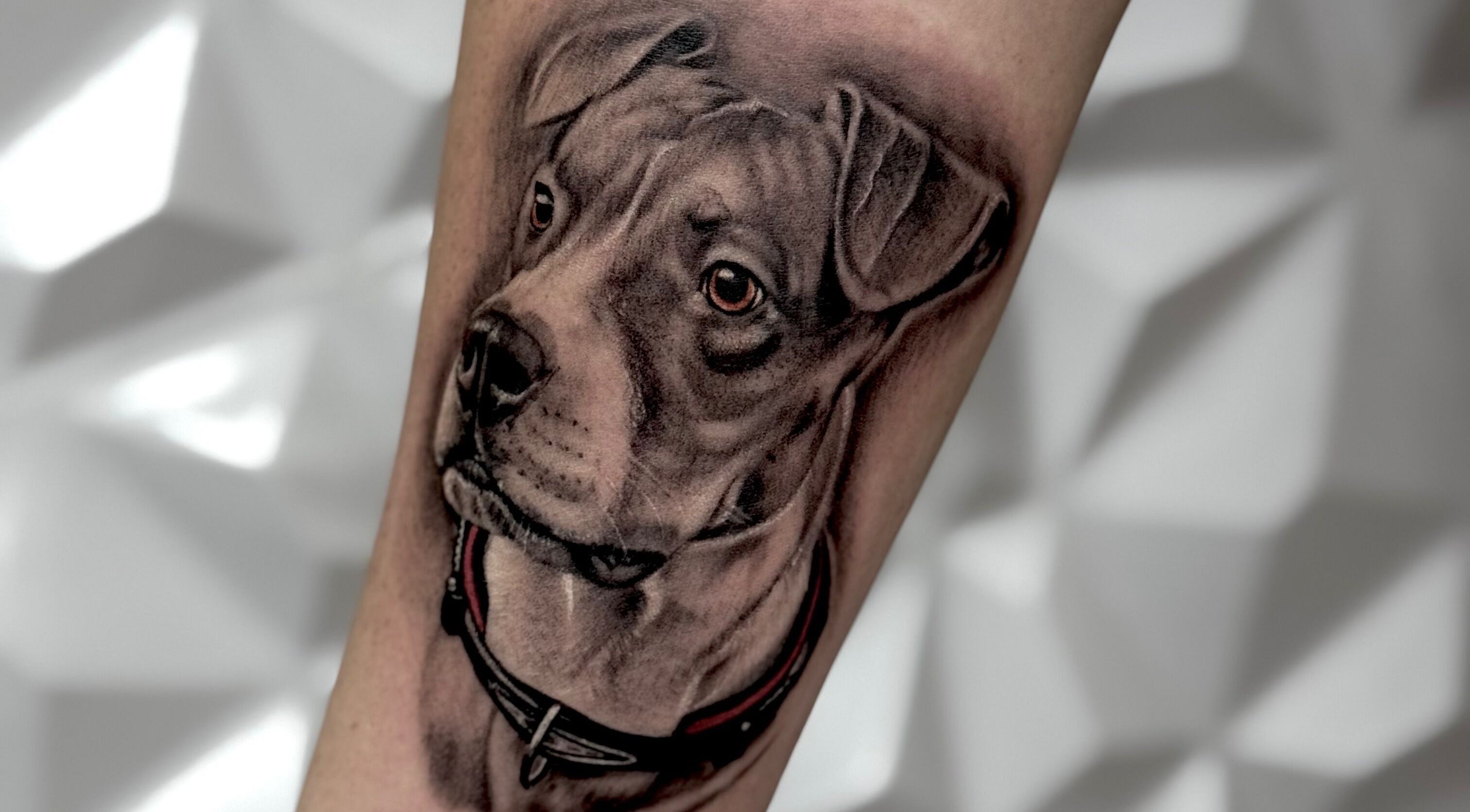 Tatuagem de um cachorro realista no braço em Renan Campion Tattoo, São Paulo, São Paulo, BR.