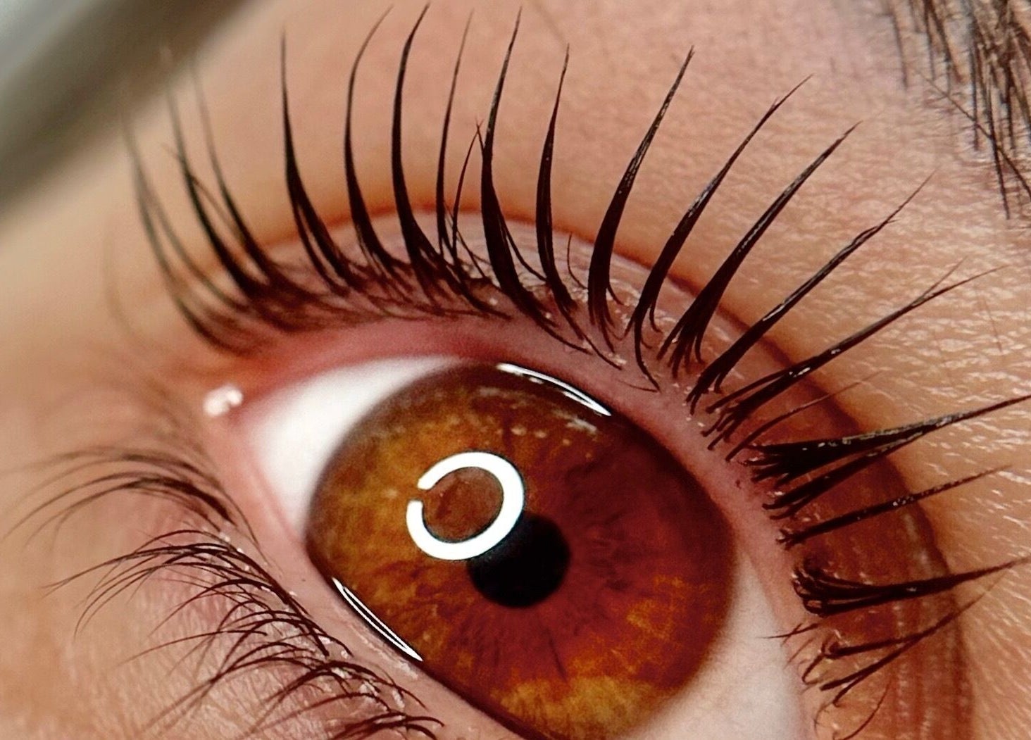 Close-up van een oogsieraad bij CLS Care, Lochristi, Vlaams Gewest, BE.