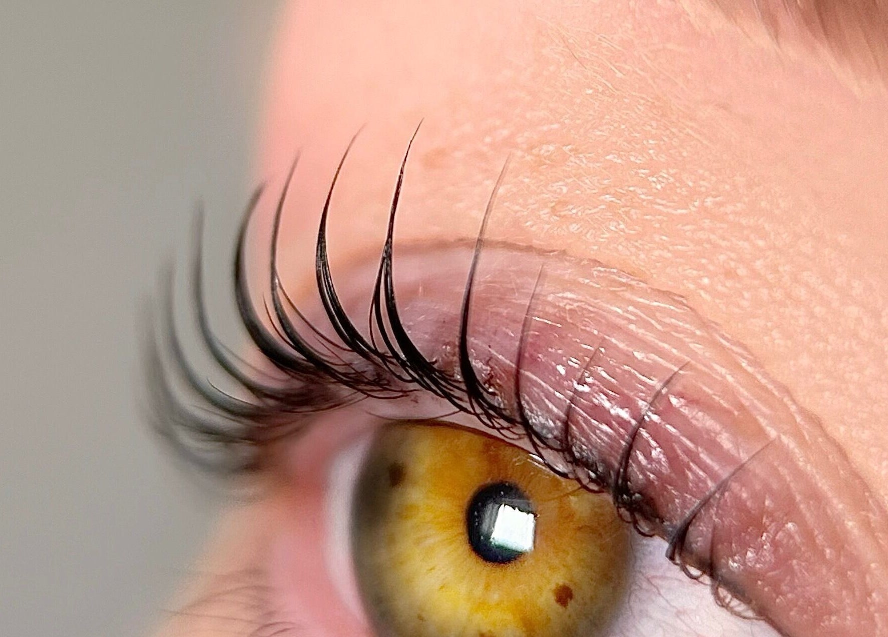 Close-up van oog met prachtige wimpers bij CLS Care in Lochristi, Vlaams Gewest, BE.