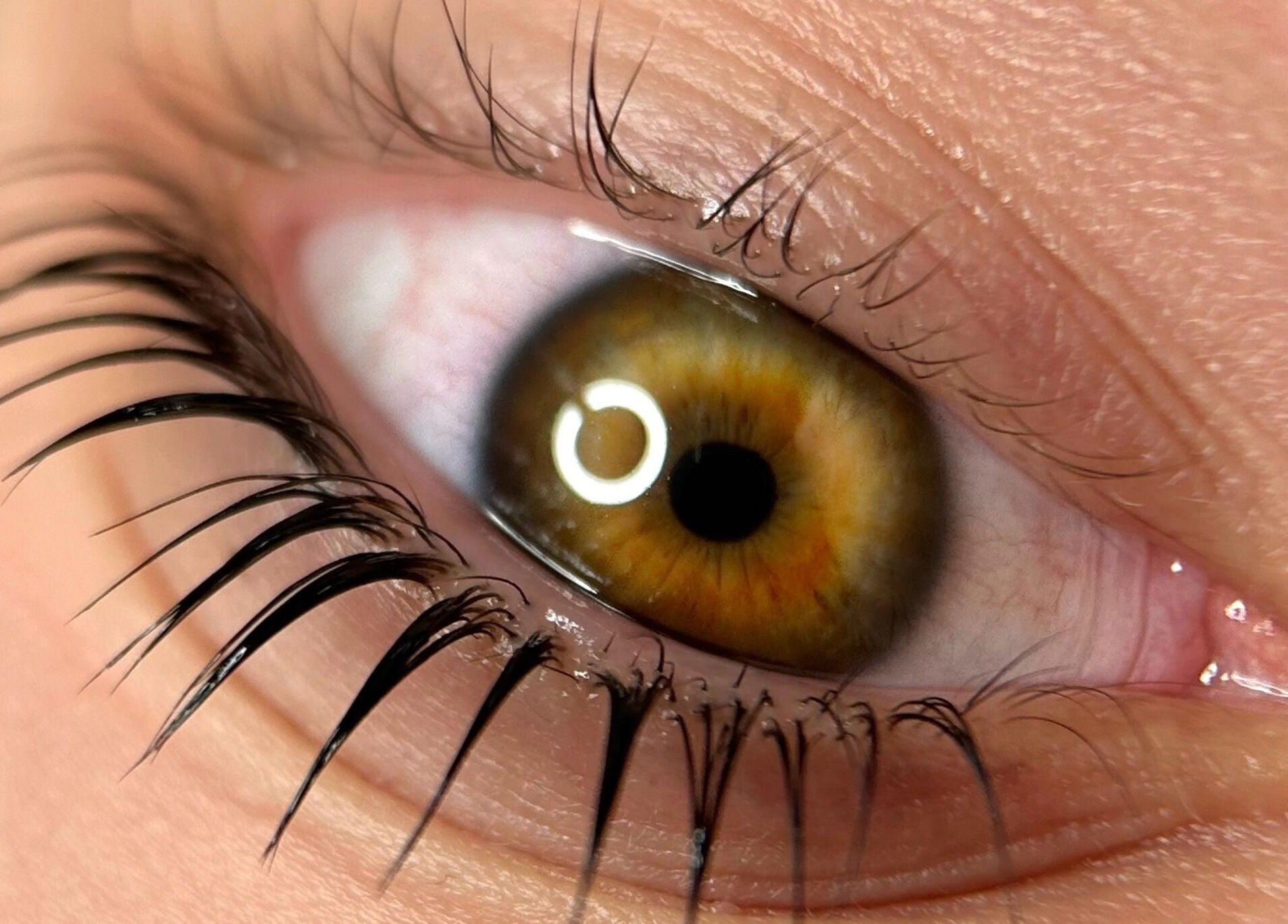 Close-up van verzorgd oog bij CLS Care, Lochristi, Vlaams Gewest, BE met lange wimpers.