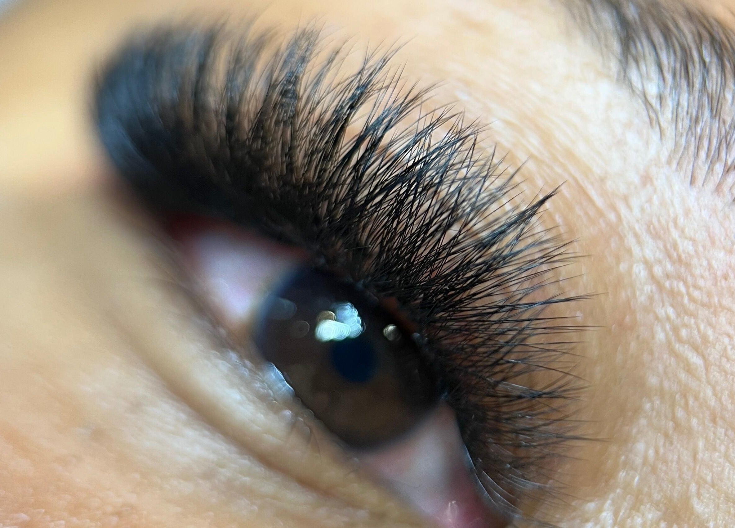 Close-up of eye with lush lashes at Lash Brow Room, Johns Creek, Georgia, US.