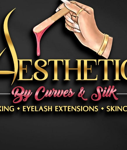 Aesthetics By Curves and Silk – kuva 2