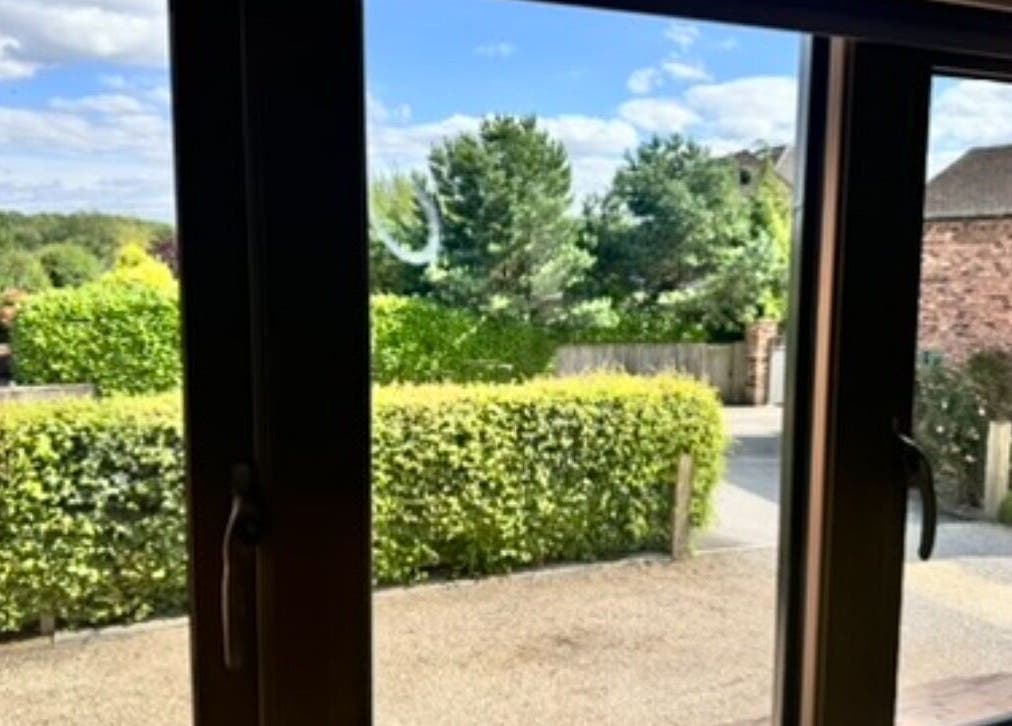 View of lush garden from KK Clinic window, Ashby-de-la-zouch, England, GB.