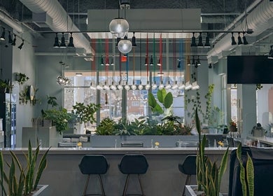Interior of Color Me True Nail Bar in Nashville, Tennessee, US featuring modern decor and lush green plants.