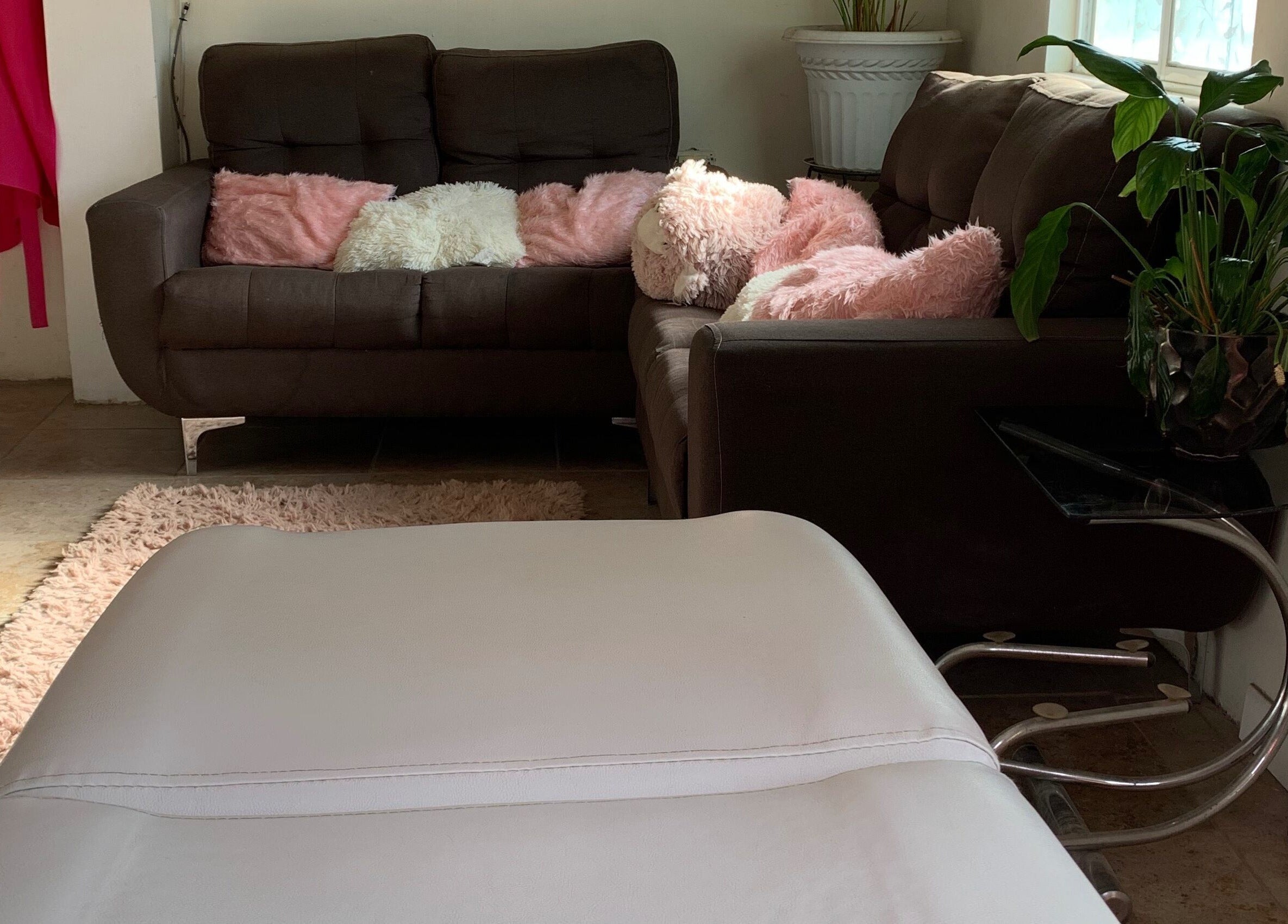 Elegante sala de espera en Studio SM, Chihuahua, Chihuahua, MX, con sofá y almohadas rosadas.