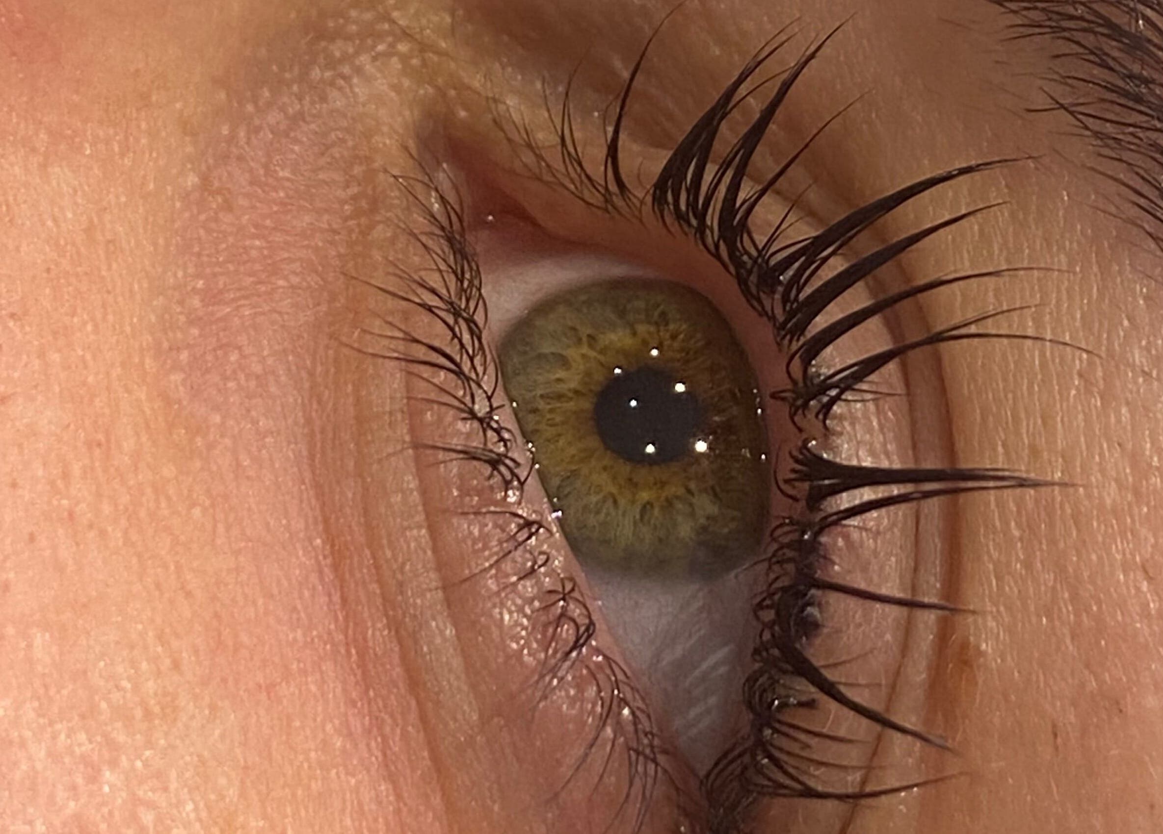 Close-up of eyelashes showcasing lash treatment at Beauty by Meg, Halifax, England, GB.