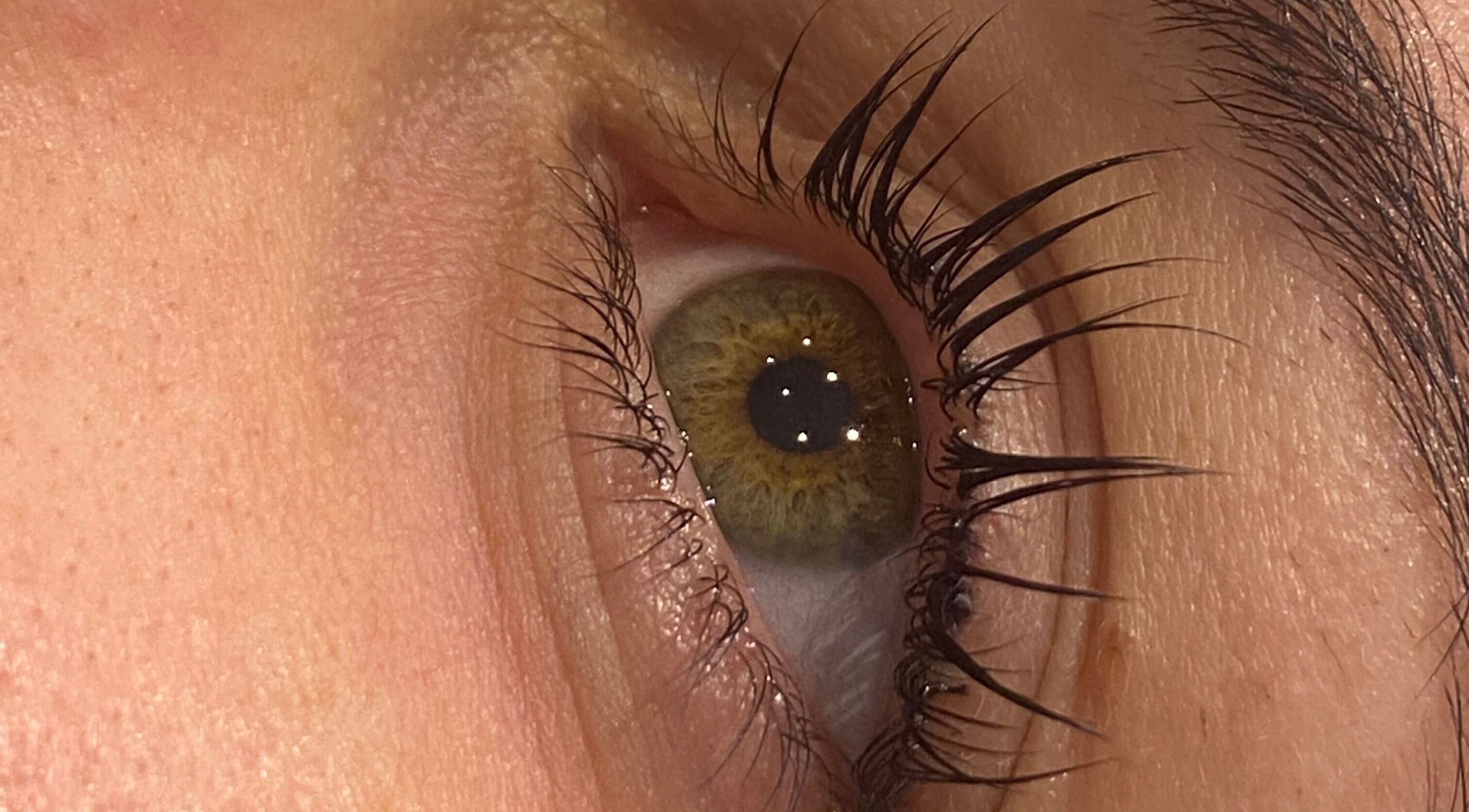 Close-up of eyelashes showcasing lash treatment at Beauty by Meg, Halifax, England, GB.