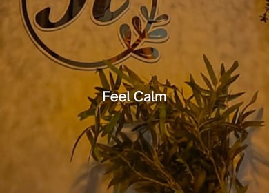 Relax Reflexology wall decor with plant, Mumbai, Maharashtra, IN. A calming ambiance for wellness.