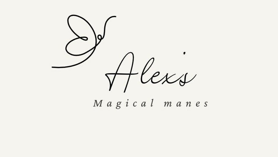 Alex’s Magical Manes 1paveikslėlis