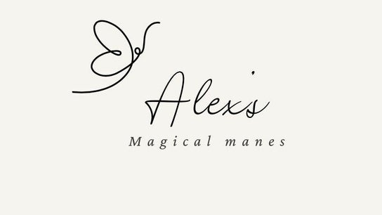 Alex’s Magical Manes