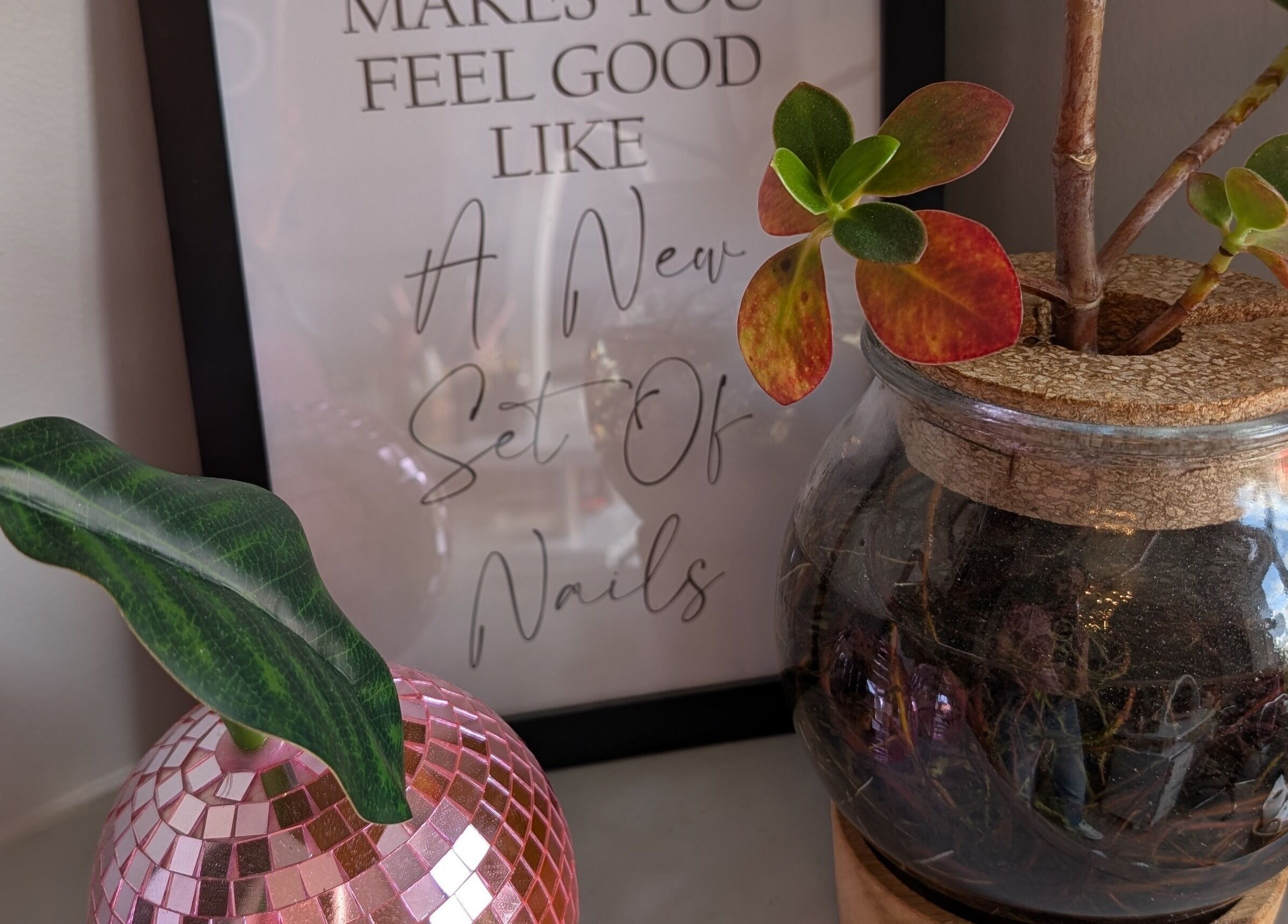 Decorative display at Nails by Paula X in Biddulph, England, GB, featuring plants and nail art inspiration.