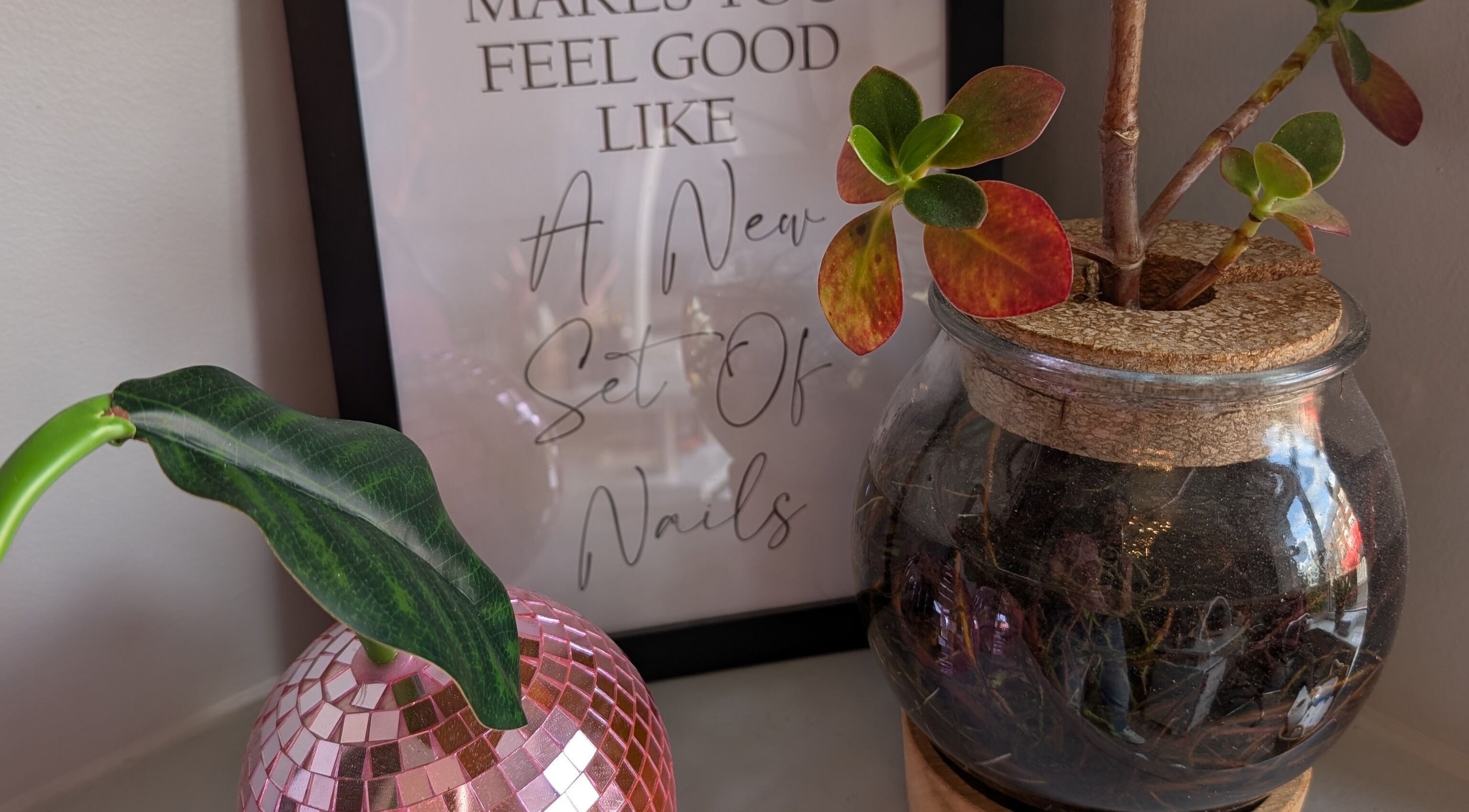 Decorative display at Nails by Paula X in Biddulph, England, GB, featuring plants and nail art inspiration.