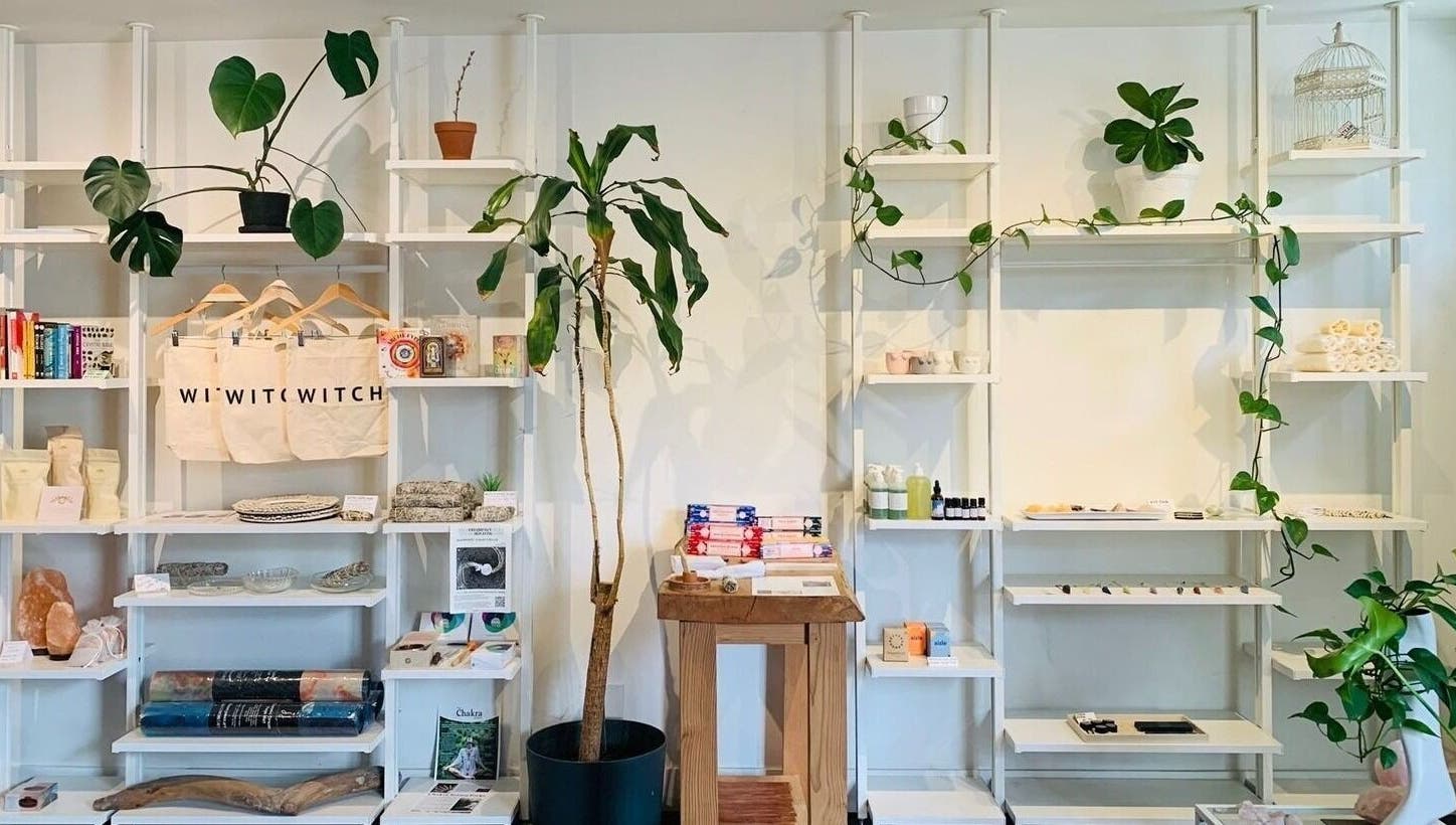 Shelves with wellness products and plants at CoalitionSkin | Holistic Spa Downtown Vancouver, Vancouver, British Columbia, CA.
