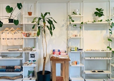 Shelves with wellness products and plants at CoalitionSkin | Holistic Spa Downtown Vancouver, Vancouver, British Columbia, CA.