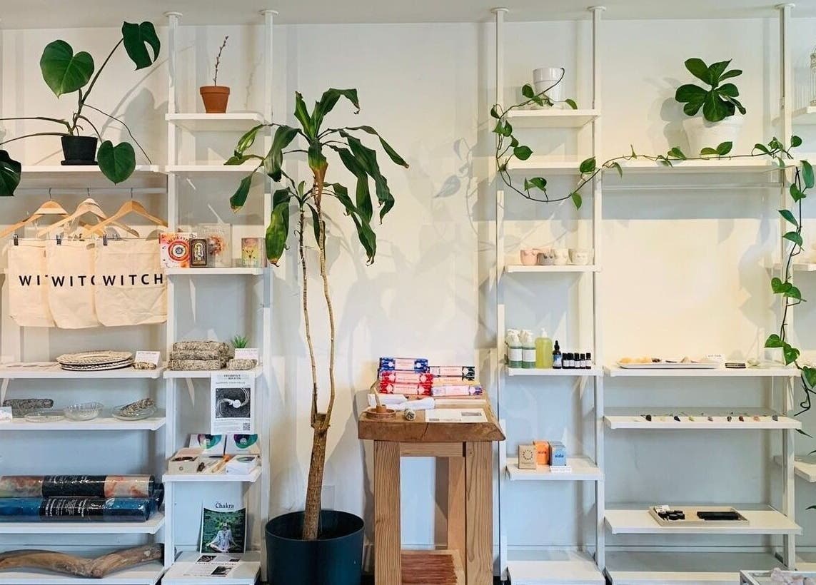 Shelves with wellness products and plants at CoalitionSkin | Holistic Spa Downtown Vancouver, Vancouver, British Columbia, CA.