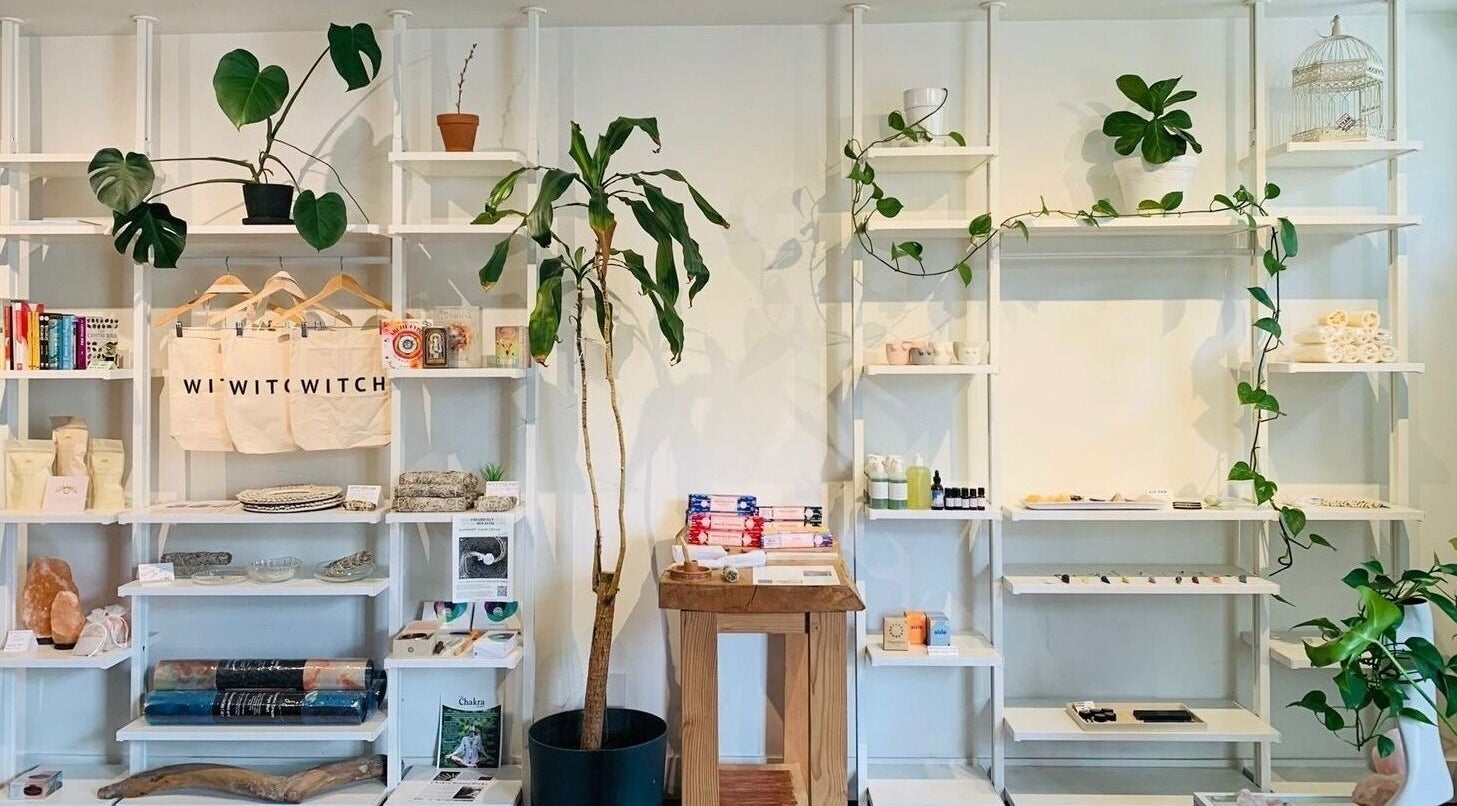 Shelves with wellness products and plants at CoalitionSkin | Holistic Spa Downtown Vancouver, Vancouver, British Columbia, CA.