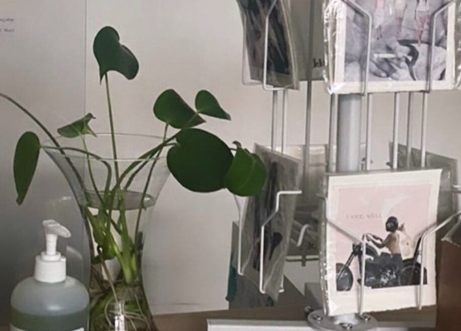 Peaceful plants and spa products at CoalitionSkin | Holistic Spa Downtown Vancouver, Vancouver, British Columbia, CA.