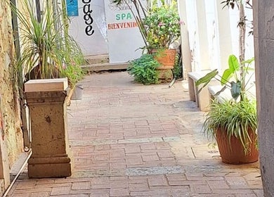 Entrada al Spa María Sabina-Masajes Oaxaca en Oaxaca De Juárez, Oaxaca, MX con plantas decorativas.