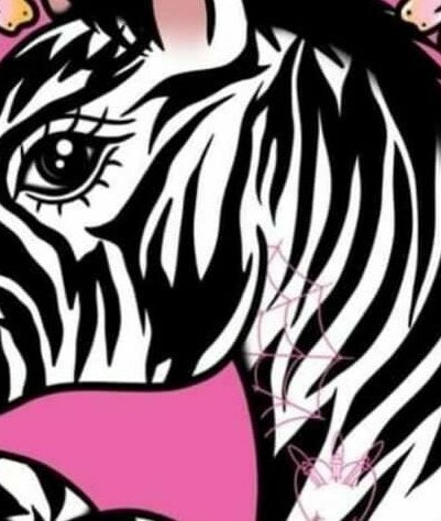 Immagine 2, The Punktured Zebra