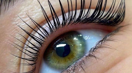 Eloisa Santiago Brows image 2