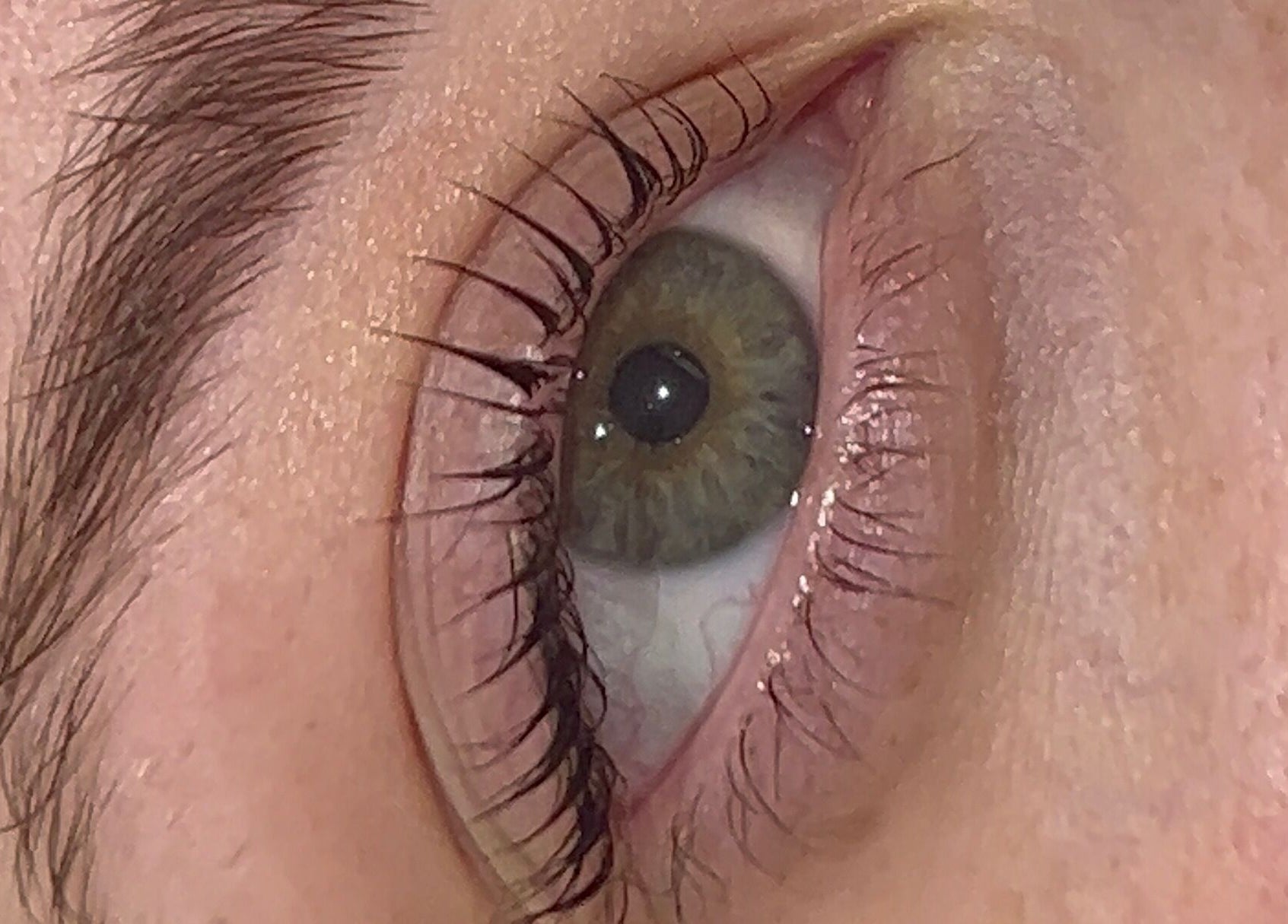Close-up of a well-groomed eye showcasing beauty services at Divine Beauty, Milton Keynes, England, GB.