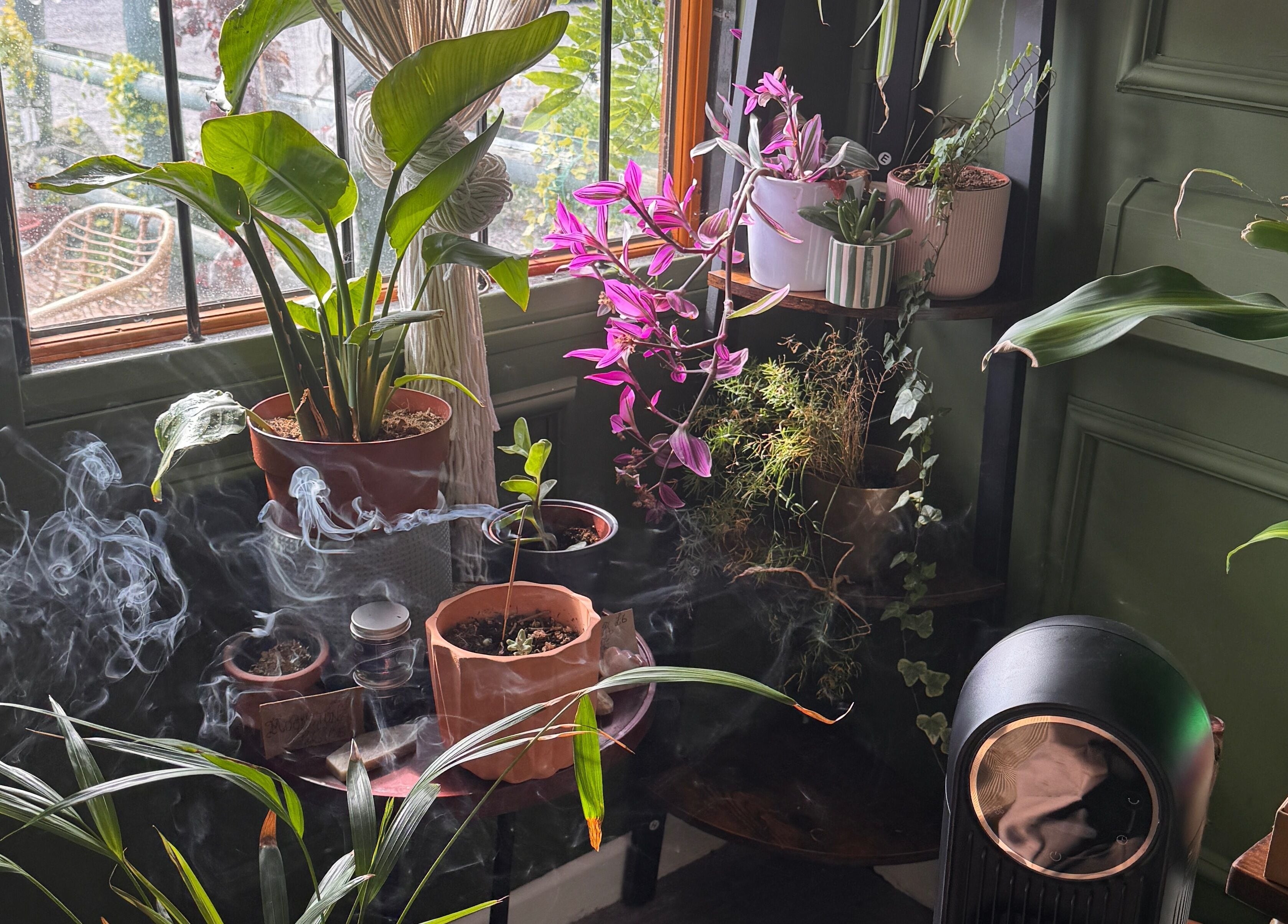 Serene plant corner with lush greenery at The Edgy Therapist @ The Holistic Hideaway in Broadclyst, England, GB.